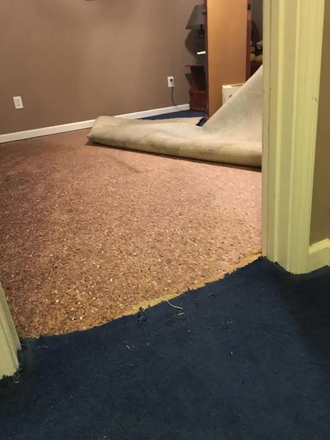 Carpet pad removal revealing water damage during Water Mitigation Services in Palatka