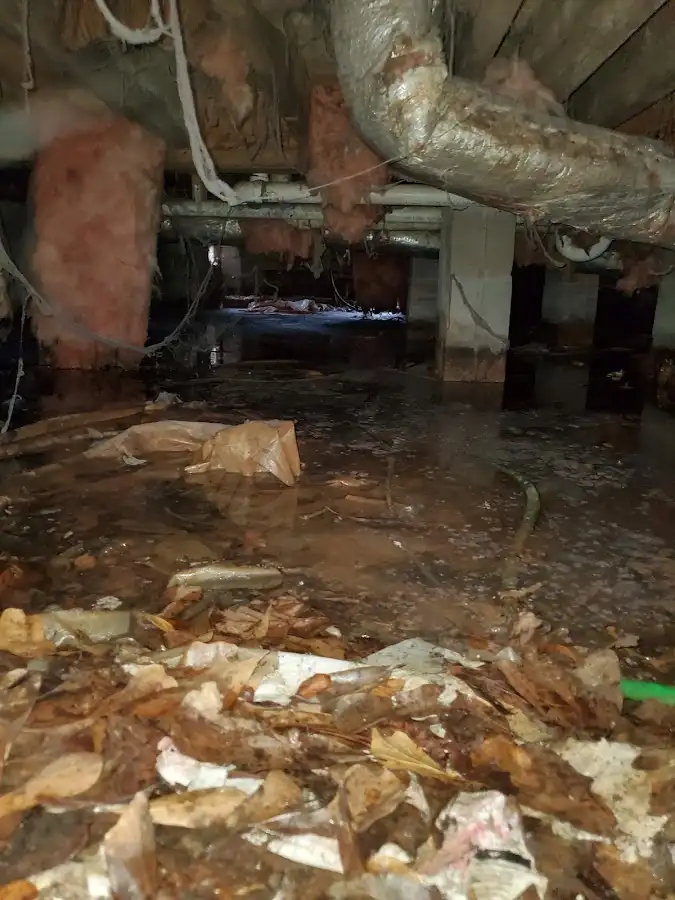 Crawl space flood assessment for Leak Detection & Repair in Palatka