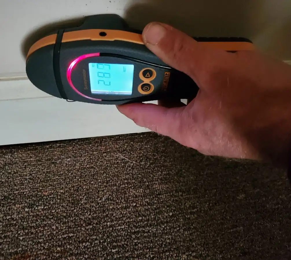 Moisture detection at baseboard during Burst Pipe Cleanup in Palatka