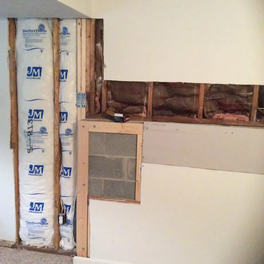 Wall insulation replacement during Basement Flood Cleanup in Palatka